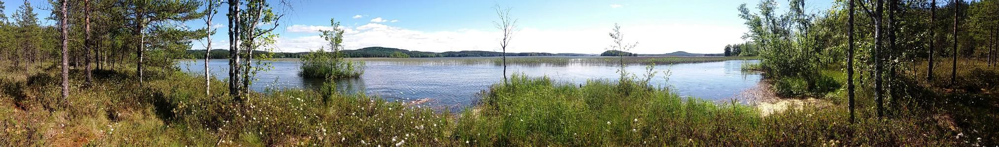 Ylläpito